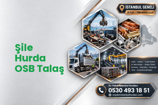 Şile Hurda OSB Talaş