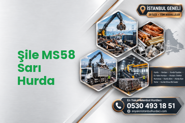 Şile MS58 Sarı Hurda
