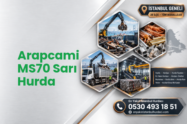 Arapcami MS70 Sarı Hurda