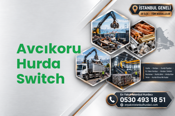 Avcıkoru Hurda Switch