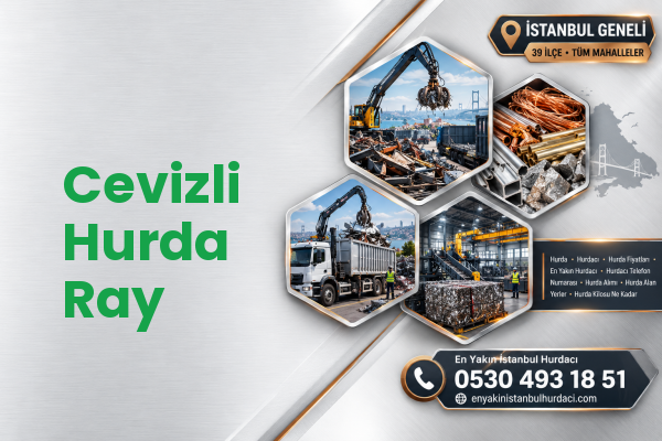 Cevizli Hurda Ray