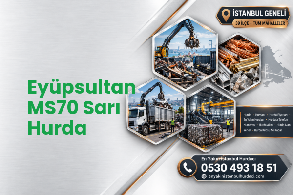Eyüpsultan MS70 Sarı Hurda