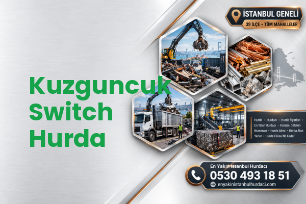 Kuzguncuk Switch Hurda