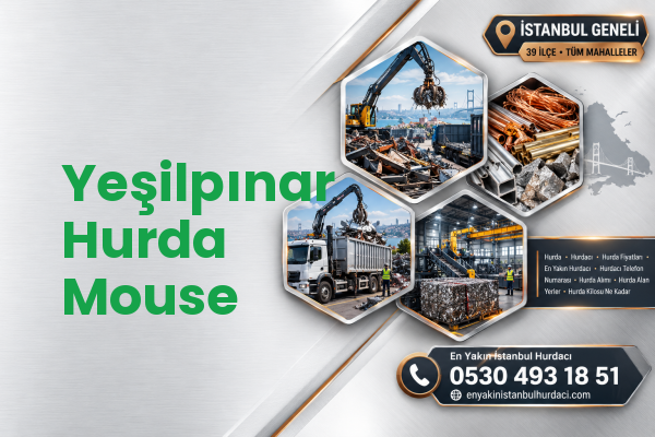 Yeşilpınar Hurda Mouse